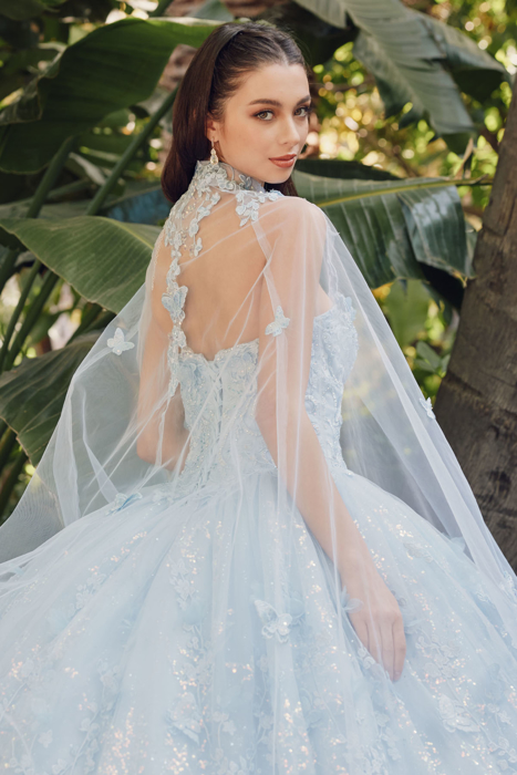 Princess Applique Lace Tulle Illusion Neck Ball Gown Wedding Dresses 2023
